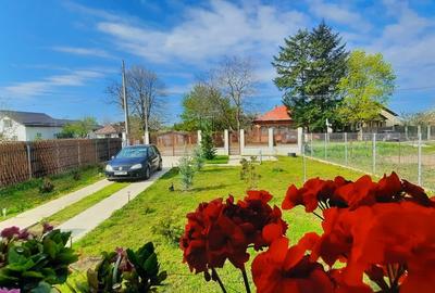 Casă cu 2 camere cu Teren 795 Mp în Regie - 1