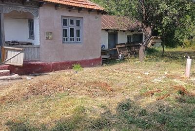 Casă cu 3 camere cu Teren 790 Mp în Stăncești - 2