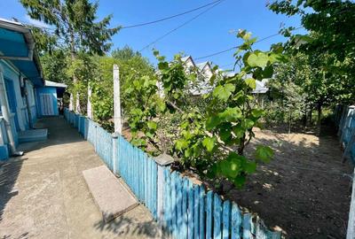 Casă cu 4 camere cu Teren 887 Mp în Bordușani - 2