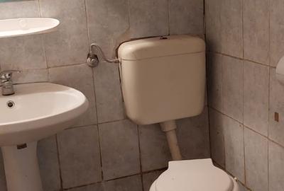 Basarabia, casa singur curte, locuit/diverse activitati - 5