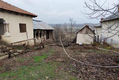 Casă cu 3 camere cu Teren 3200 Mp în Sutești - 2