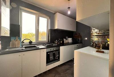 Casă cu 6 camere cu Teren 1412 Mp în Palazu Mare