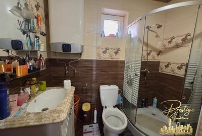 Casa cu anexe si teren de 1000 mp de vanzare in comuna Spinus-Bihor - 14