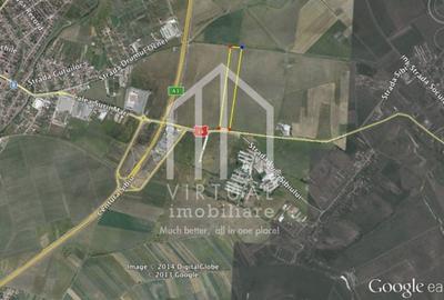 Teren agricol intravilan de 19100 mp, în Veterani - 4