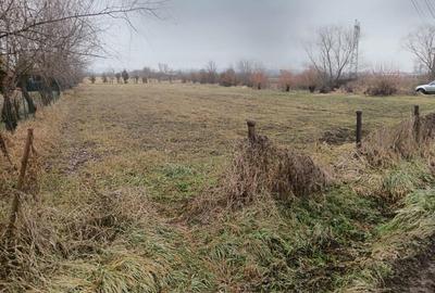 Teren de 3500 mp, în Culcea