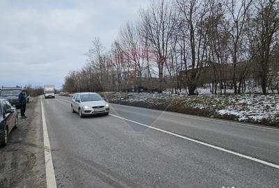 Teren de 10000 mp, în Rădășeni - 8