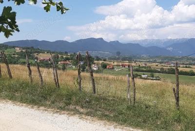 Teren intravilan de vanzare - Bran, sat Sohodol - 4
