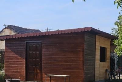 Proprietate imobiliara casa și teren în Criva de Sus - 11