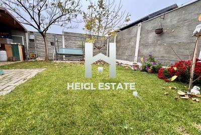 Casa 3 camere gata de mutat Sanandrei - 9