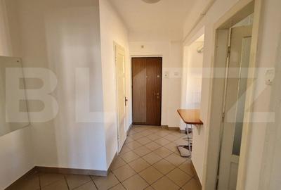 Apartament cu 2 camere decomandat în Gara Mare - 4