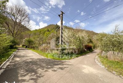 Casă cu 2 camere cu Teren 725 Mp în Central - 13