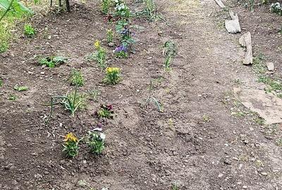 Casă cu 3 camere în Central - 12