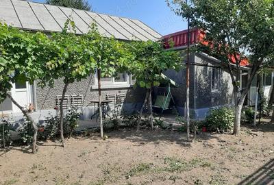Casă cu 4 camere cu Teren 317 Mp în Central - 5