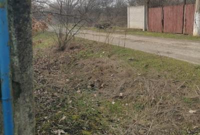 Casă individuală cu 5 camere cu Teren 2002 Mp în Zănoaga - 4