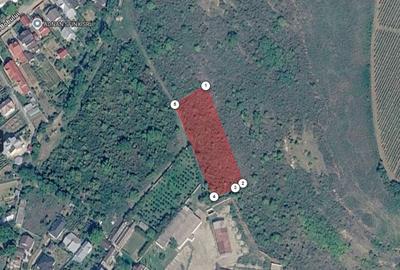 Teren extravilan de 3500 mp, în Urlați - 2