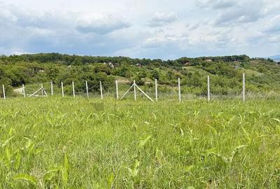 Teren 9461 mp cu panorama in Cartierul Podgoria din Oradea - 4