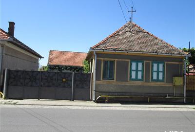 Casă cu 4 camere cu Teren 70000 Mp în Geoagiu - 1