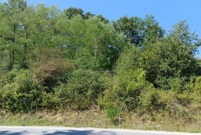 Resita, Teren Intravilan 700 Mp., 25 Euro/Mp., Calea Caranse - 10