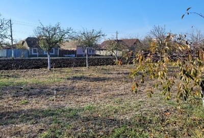 Vând teren intravilan suprafață 1414mp în Sânpetru Mare, jud.Timiș . - 5