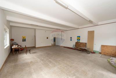 Casă individuală cu 7 camere cu Teren 1052 Mp în Industriilor - 27