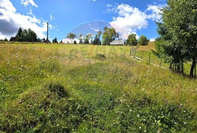 Teren de vis in Fundata 1934mp sau 3868mp, la inal?im... - 7