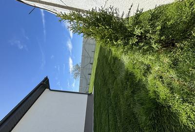 Casa singulara 4 camere,teren 380 mp Bragadiru - 16