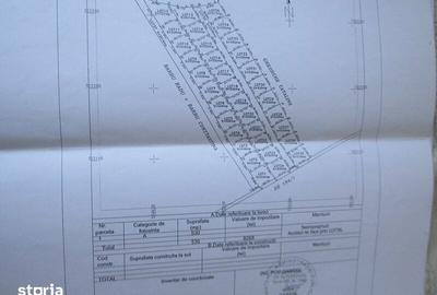 Teren de 629 mp, în Clinceni - 6