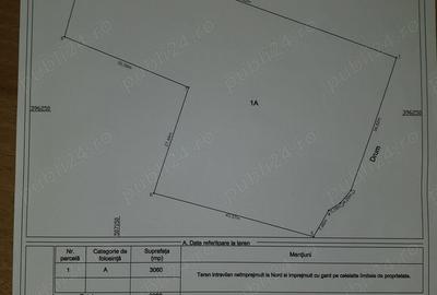 Teren de 3000 mp, în Vulturești