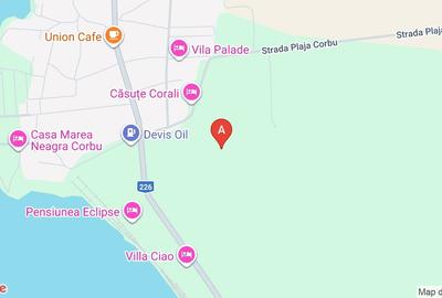 Teren 4000 m2 de vanzare,Corbu - 1