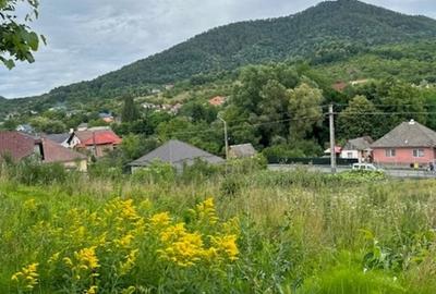 Teren Construcții intravilan de 2000 mp, în Valea Borcutului
