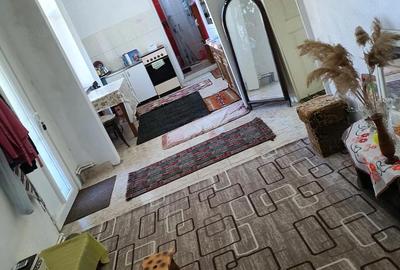 Casă cu 3 camere cu Teren 1500 Mp în Teremia Mare - 4