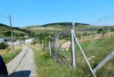 Teren de 1000 mp, în Central - 3