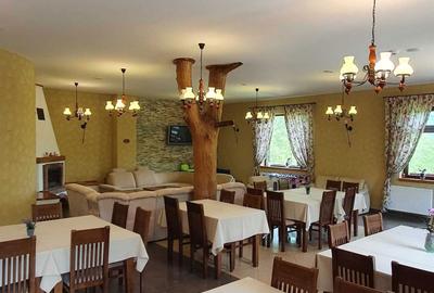 Spațiu comercial, de 600 mp, în Vișeu de Jos - 1