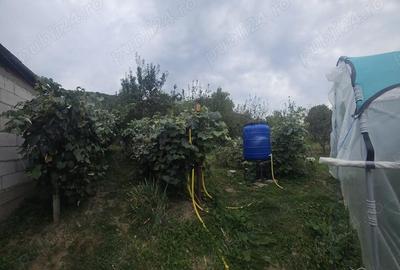 Casă cu 4 camere cu Teren 1100 Mp în Voroveni - 4