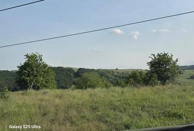 Teren de 3600 mp, în Drăgușani - 1