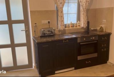 Casă cu 3 camere cu Teren 2000 Mp în Băcia - 10