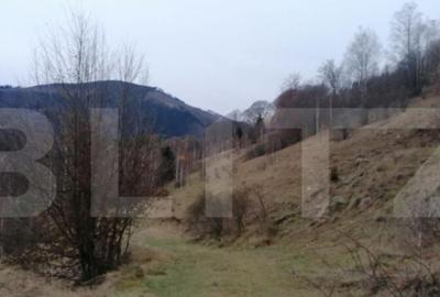 Teren 14 ha compact langa Lacul Tau Bistra - 1