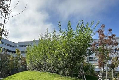 Apartament cu 3 camere în Rudeni