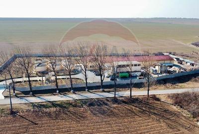 Crama din Buciumeni Afacere la cheie - 1