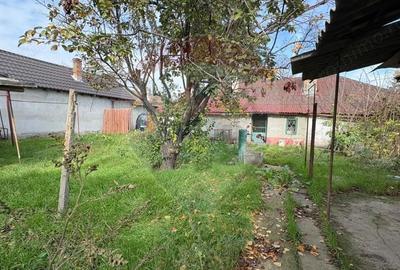 Teren de vanzare in Valu lui Traian, Calea Dobrogei - 5