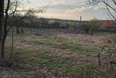 Spațiu comercial, în Săldăbagiu de Munte - 5