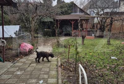 Casă cu 3 camere cu Canalizare în Central - 3