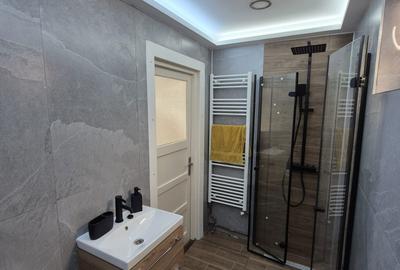 Apartament cu 2 camere decomandat în Lotrioara - 4