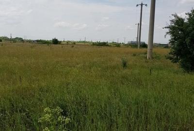 Teren agricol extravilan de 54614 mp, în Roșiile