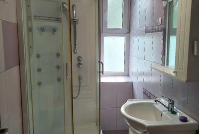 Apartament cu 2 camere semidecomandat în Tudor Vladimirescu - 3