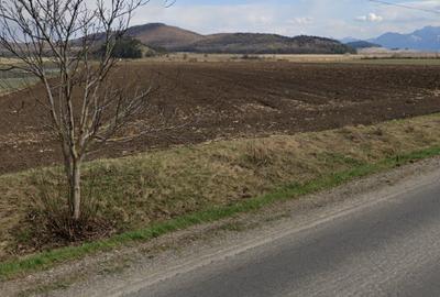 Teren agricol extravilan de 20000 mp, în Bod - 2