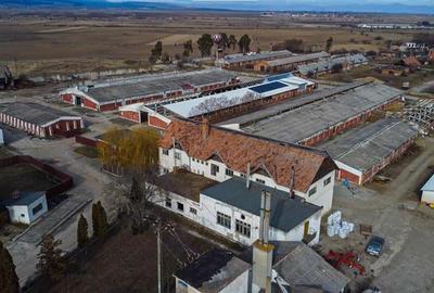 FILM! Complex agrozootehnic cu traditie, echipat,pretios potential multiplu, Bra - 37