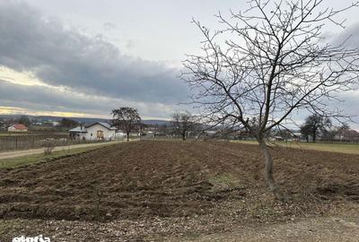 Teren de 27 mp, în Mitocu Dragomirnei - 5
