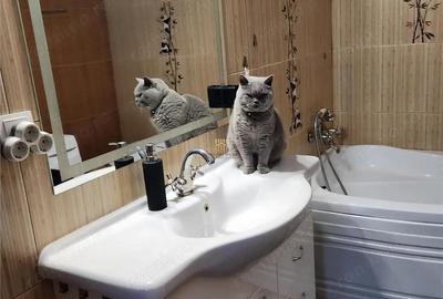 Casa Zona Campus Universitate - Cartier Privat! Suceava! 0727817187 - 7