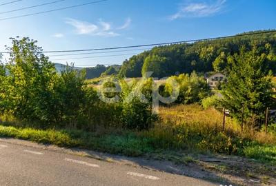 Teren în Podiș - 2